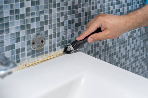 Best Post-Remediation Services in Caledonia, MN